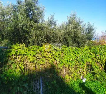 Residential 1000m<sup>2</sup> for sale photo 27