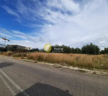 Professional Plot 1361m<sup>2</sup> for sale photo 10