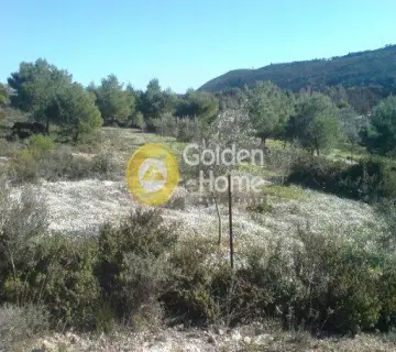 Residential 600m<sup>2</sup> for sale photo 2924803