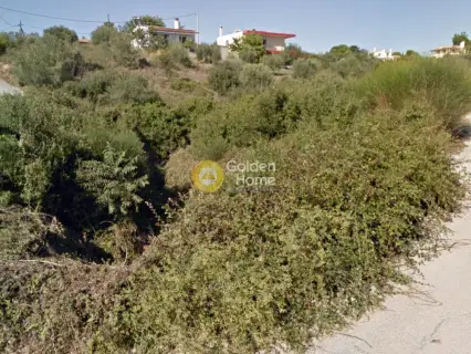 Οικιστικό 4270τ.μ. προς πώληση φωτογραφία 4