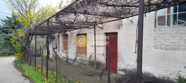 Οικιστικό 4270τ.μ. προς πώληση φωτογραφία 3