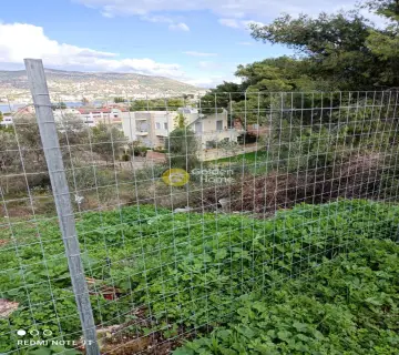 Residential 905m<sup>2</sup> for sale photo 15