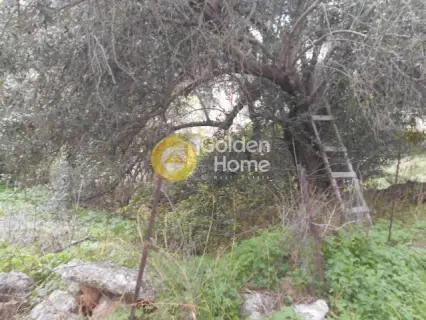 Οικιστικό 176τ.μ. προς πώληση φωτογραφία 2