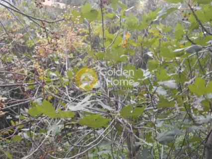 Οικιστικό 176τ.μ. προς πώληση φωτογραφία 3