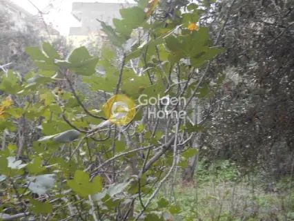 Οικιστικό 176τ.μ. προς πώληση φωτογραφία 6