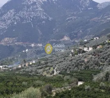 Parcel 7700m<sup>2</sup> for sale photo 6