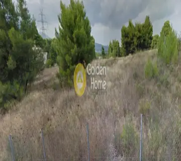 Αγροτεμάχιο 4078τ.μ. προς πώληση φωτογραφία 3773136