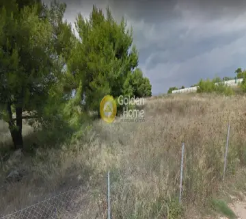 Αγροτεμάχιο 4078τ.μ. προς πώληση φωτογραφία 3773137