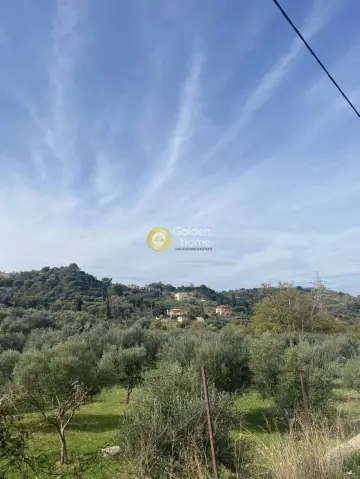 Golden Home Property Image