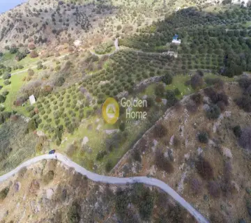 Golden Home Property Image