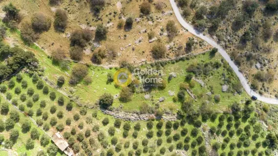 Residential 5700m<sup>2</sup> for sale photo 10
