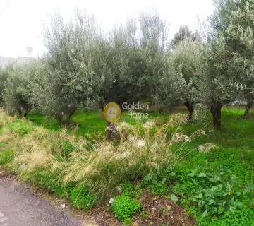 Professional Plot 702m<sup>2</sup> for sale photo 2948285