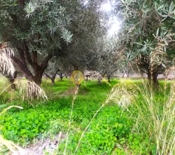 Professional Plot 702m<sup>2</sup> for sale photo 2948288