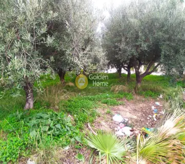 Professional Plot 702m<sup>2</sup> for sale photo 2948289