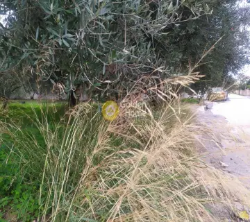 Professional Plot 702m<sup>2</sup> for sale photo 2948291
