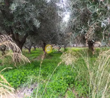 Professional Plot 702m<sup>2</sup> for sale photo 2948292