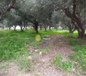 Professional Plot 702m<sup>2</sup> for sale photo 2948295