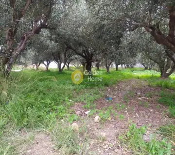 Professional Plot 702m<sup>2</sup> for sale photo 2948297