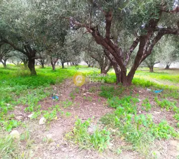 Professional Plot 702m<sup>2</sup> for sale photo 2948298