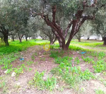 Professional Plot 702m<sup>2</sup> for sale photo 2948299