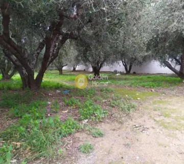 Professional Plot 702m<sup>2</sup> for sale photo 2948300