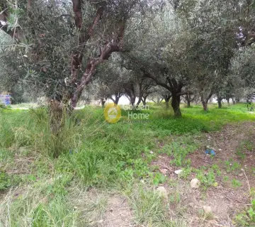 Professional Plot 702m<sup>2</sup> for sale photo 2948301