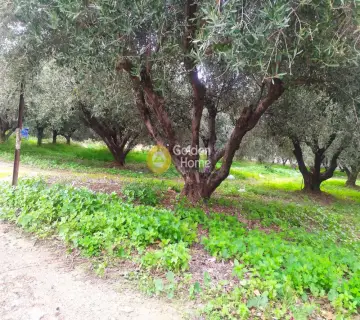 Professional Plot 702m<sup>2</sup> for sale photo 2948303