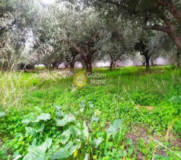 Professional Plot 702m<sup>2</sup> for sale photo 2948306