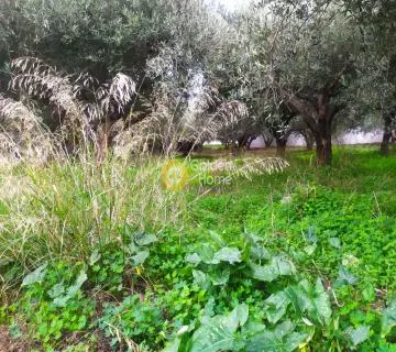 Professional Plot 702m<sup>2</sup> for sale photo 2948307