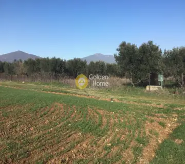 土地 4884m<sup>2</sup> for sale photo 2946446