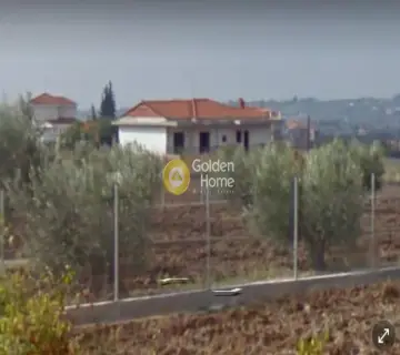 Μονοκατοικία 400τ.μ. προς πώληση φωτογραφία 5