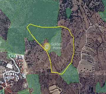 Area 75500m<sup>2</sup> for sale photo 1