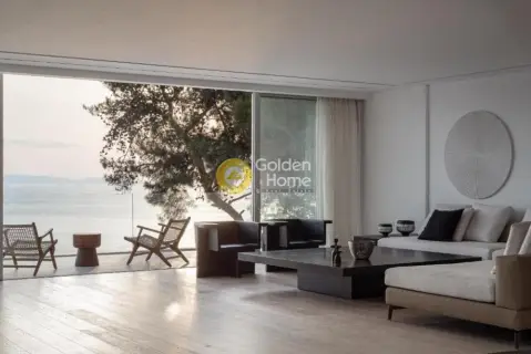 Μονοκατοικία 415τ.μ. προς πώληση φωτογραφία 53