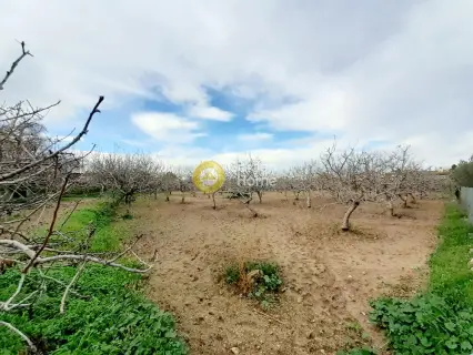 Professional Plot 2540m<sup>2</sup> for sale photo 1