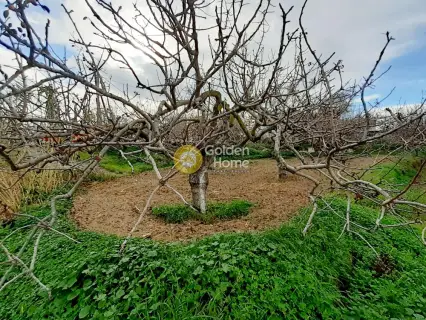 Professional Plot 2540m<sup>2</sup> for sale photo 4