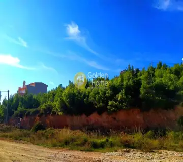 Οικιστικό 503τ.μ. προς πώληση φωτογραφία 1