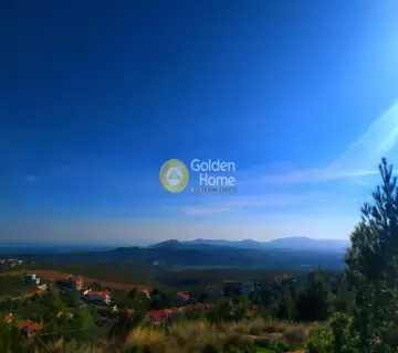 Οικιστικό 503τ.μ. προς πώληση φωτογραφία 3