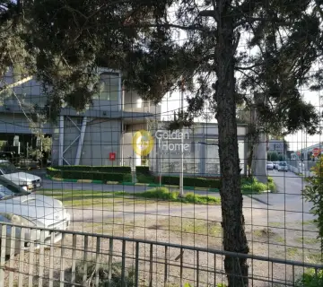 Professional Plot 3600m<sup>2</sup> for sale photo 41
