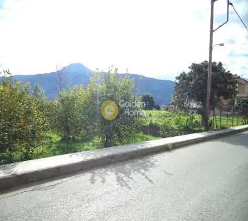 Residential 740m<sup>2</sup> for sale photo 2986246
