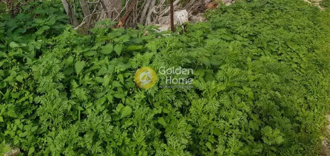 Οικιστικό 219τ.μ. προς πώληση φωτογραφία 3