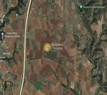 Golden Home Property Image