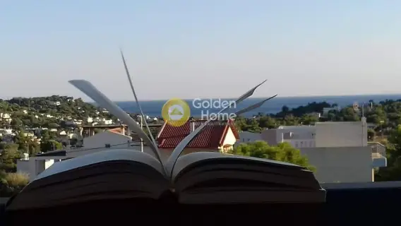 Μονοκατοικία 250τ.μ. προς πώληση φωτογραφία 1