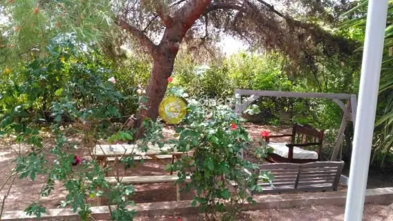 Μονοκατοικία 250τ.μ. προς πώληση φωτογραφία 2