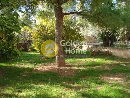 Μονοκατοικία 250τ.μ. προς πώληση φωτογραφία 8