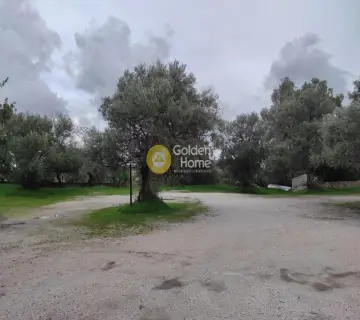 Residential 3880m<sup>2</sup> for sale photo 1