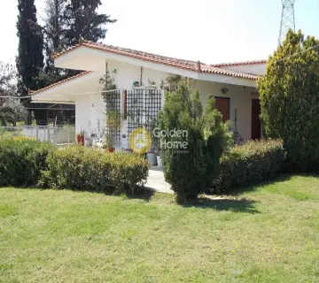 Μονοκατοικία 350τ.μ. προς πώληση φωτογραφία 1
