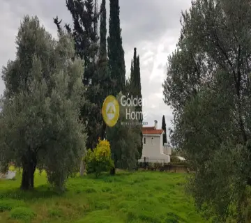 Μονοκατοικία 350τ.μ. προς πώληση φωτογραφία 12