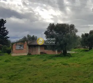 Μονοκατοικία 350τ.μ. προς πώληση φωτογραφία 5