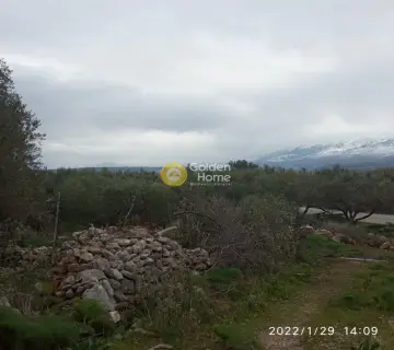 住宅 3151m<sup>2</sup> for sale photo 2984536