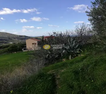 Residential 2000m<sup>2</sup> for sale photo 5